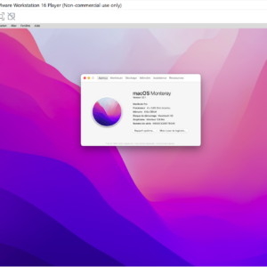 Virtualiser macOS Monterey avec VMware Workstation Player (gratuit) sur Windows