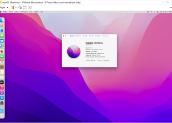 Virtualiser macOS Monterey avec VMware Workstation Player (gratuit) sur Windows