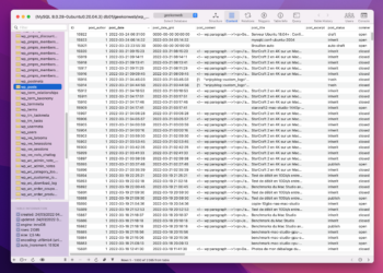 Ubuntu Server 18.04/20.04 : Configurer MySQL pour une utilisation avec phpMyAdmin ou un client MySQL distant