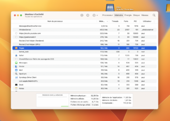 Pages, gestion de la RAM, et comportement de l’application
