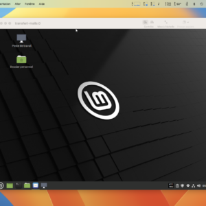 Un serveur VNC mis en place facilement sur Linux Mint