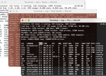 Supprimer l’historique des commandes tapées dans le Terminal sur macOS (shell zsh)