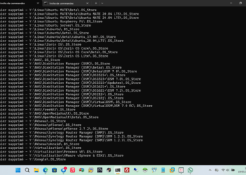Empêcher la création des fichiers .DS_Store sur un partage réseau et supprimer ces fichiers existants (ici sur des NAS Synology)